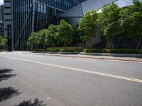 the empty road is very quiet in a city setting, in this image there are trees growing along it