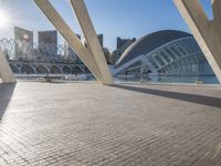 a skate boarder is riding on the sidewalk by a bridge of many columns and pillars