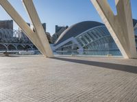 a skate boarder is riding on the sidewalk by a bridge of many columns and pillars