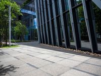 a bench is in front of a large glass building near trees and lawns on the sidewalk