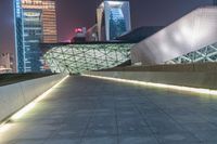 Futuristic Guangzhou Skyline at Night with Neon Lights