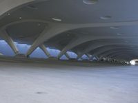 a person riding a skateboard down a sidewalk under a large structure of vaulted ceilings