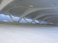 a person riding a skateboard down a sidewalk under a large structure of vaulted ceilings