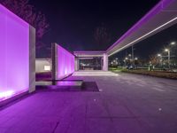 an outside lit walkway at night with purple lighting on it and trees to the side