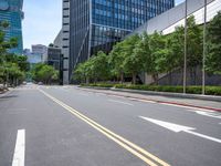 a road with trees and buildings in the background on a clear day in a big city