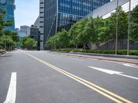 a road with trees and buildings in the background on a clear day in a big city