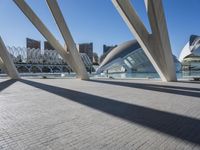 Futuristic Urban Design: Valencia Concrete Bridge 002