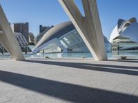 Futuristic Urban Design Valencia Concrete Bridge 003