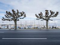 Geneva Cityscape - France, Europe 001