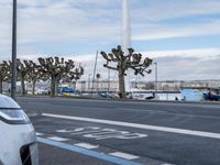 car on street next to water fountain near trees and boat docks in distance, city area with buildings, water fountains, trees, yachts and road