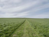 the two paths are running through the green grass field on the edge of the hill