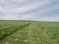 the two paths are running through the green grass field on the edge of the hill