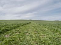 the two paths are running through the green grass field on the edge of the hill