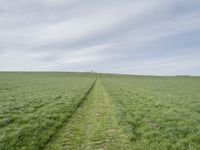 the two paths are running through the green grass field on the edge of the hill