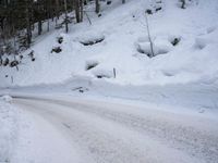German Alps: Nature and Trees Covered in Snow