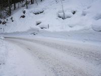 German Alps: Nature and Trees Covered in Snow