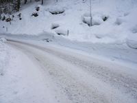 German Alps: Nature and Trees Covered in Snow