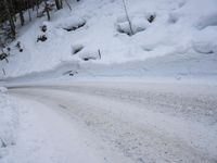 German Alps: Nature and Trees Covered in Snow