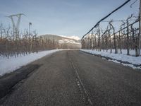 a road surrounded by trees and snow covered mountains in the background as seen in a photo