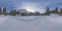 a snow covered road and forest with many skiers and snowboarders in the distance