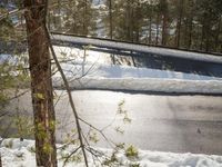 a person snowboards in the snow next to trees with no leaves or branches on it