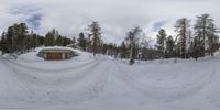 two men are snowboarding down a trail in the woods and trees and a cabin with two wooden sidings