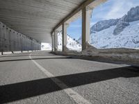 German Architecture in the Alpine Landscape