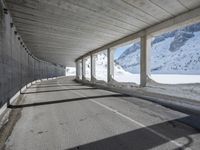 German Architecture in the Alpine Landscape