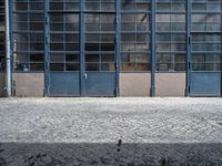 the empty brick walkway next to two blue garage doors and one in front has a dog laying on top of the floor