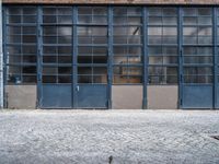 the empty brick walkway next to two blue garage doors and one in front has a dog laying on top of the floor