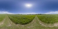 a panoramic view of two paths running through a grass field and the sky is partially cloudy