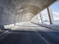 German Architecture with Snow Covered Mountains
