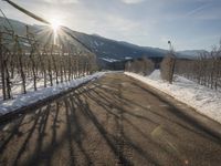 German Asphalt Road Through the Alps