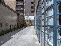 a photo of a brick alleyway that is in disrepair, with windows and a bike rack on it