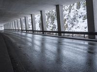 German Bridge Architecture: Winter Reflection on a Wet Road