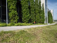 a fire hydrant sitting on the side of a road near grass and bushes on either side