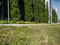 a fire hydrant sitting on the side of a road near grass and bushes on either side