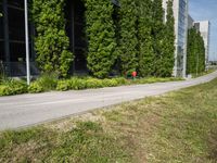 a fire hydrant sitting on the side of a road near grass and bushes on either side