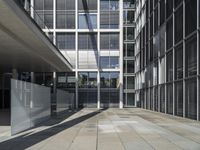 German Business District: A View Through the Glass Wall