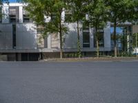 a large building with an entrance on a city street lined by tall green trees, and a small bench near it