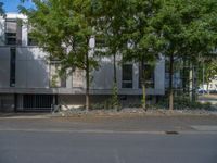 a large building with an entrance on a city street lined by tall green trees, and a small bench near it