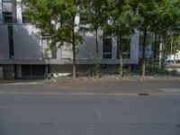 a large building with an entrance on a city street lined by tall green trees, and a small bench near it