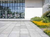 the sidewalk outside a white building with some windows, as well as plants and a flower garden