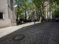 a white building sitting in the middle of a brick street corner with trees surrounding it