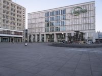 a group of birds are sitting on top of a concrete floor in front of large buildings