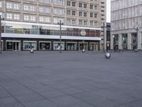 a group of birds are sitting on top of a concrete floor in front of large buildings