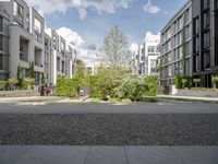 a small green tree is in the middle of a residential area with buildings and an enclosed walkway