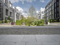 a small green tree is in the middle of a residential area with buildings and an enclosed walkway