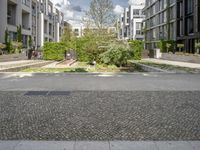 a small green tree is in the middle of a residential area with buildings and an enclosed walkway