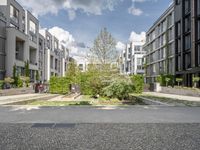 a small green tree is in the middle of a residential area with buildings and an enclosed walkway